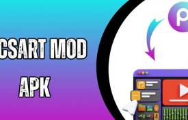What Are The Top Effects And Filters Available In PicsArt?