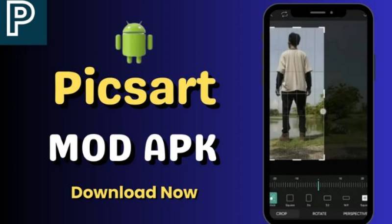 How Can You Use PicsArt To Create Stunning Collages?